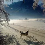 Apartmán Wildkogel *