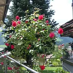 Wildkogel