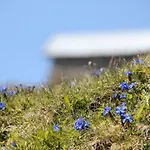 Wildkogel Apartmán Neukirchen am Großvenediger