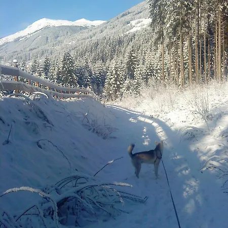 Wildkogel Διαμέρισμα Neukirchen am Großvenediger