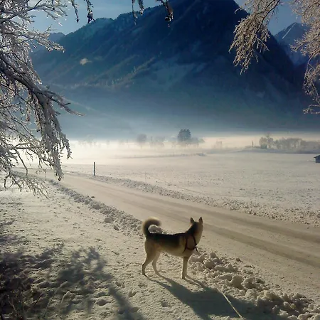 Διαμέρισμα Wildkogel *