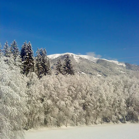 Wildkogel Апартаменты