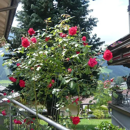 Wildkogel