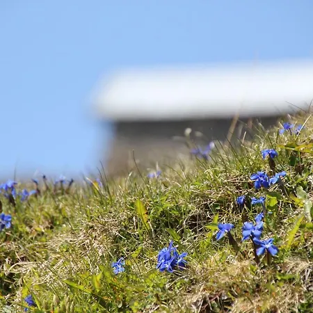 Wildkogel Διαμέρισμα Neukirchen am Großvenediger